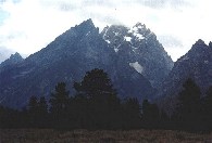 Poho Grand Teton