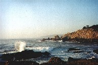 Poben tesy v Point Lobos State Reserve