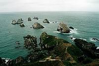 Nugget Point - na konci svta